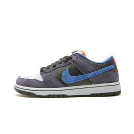 dunk patagonia