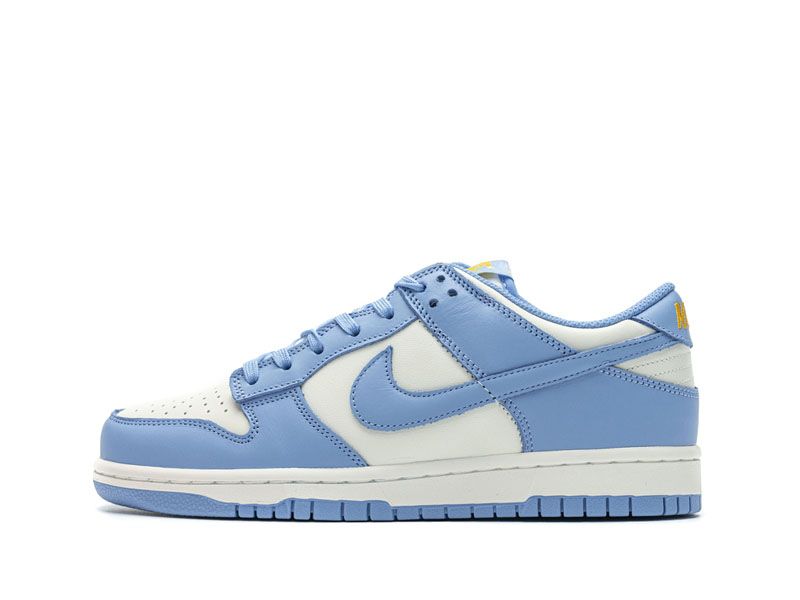 dunk low coast fake